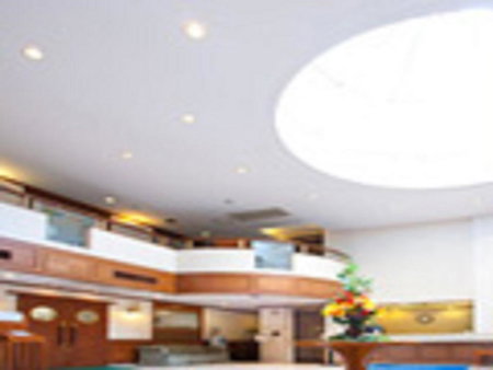 Pearl Hotel Mizonokuchi, Kawasaki, Japon