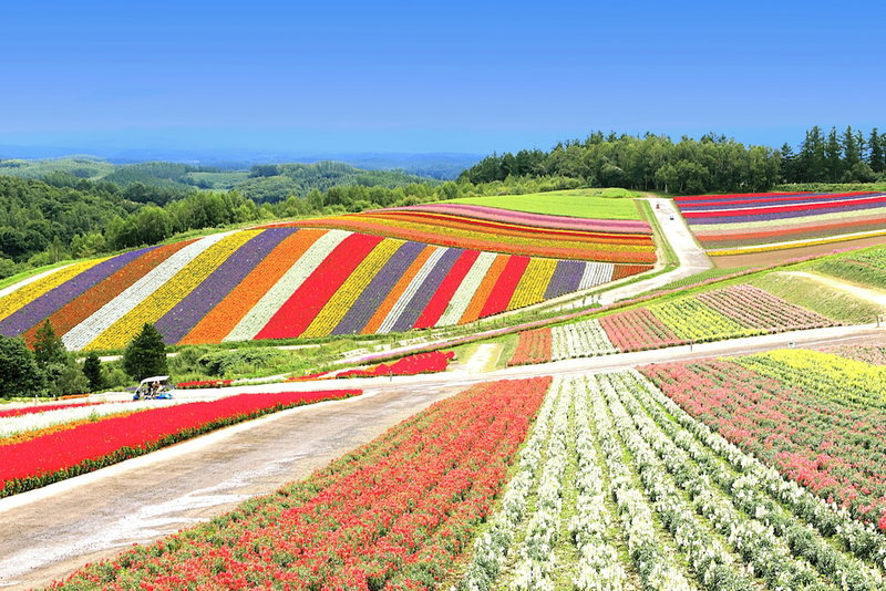 Hotel ParkHills, Biei, Japan