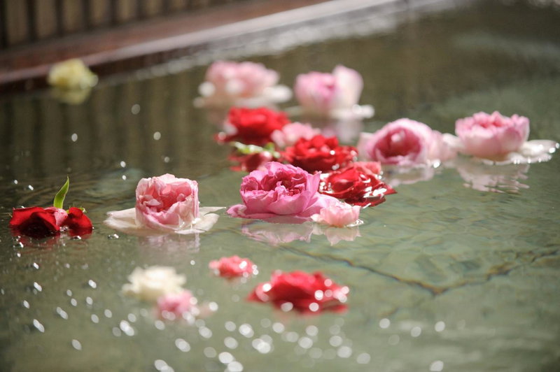 Kappo Ryokan Shiroyama, Kasama, Japan