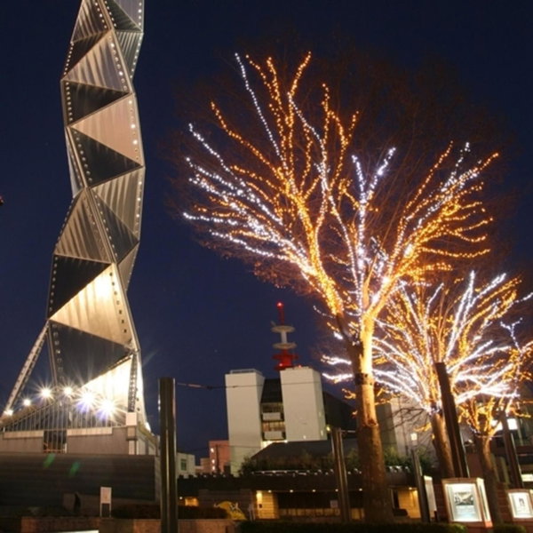 Mito Sannomaru Hotel, Mito, Япония