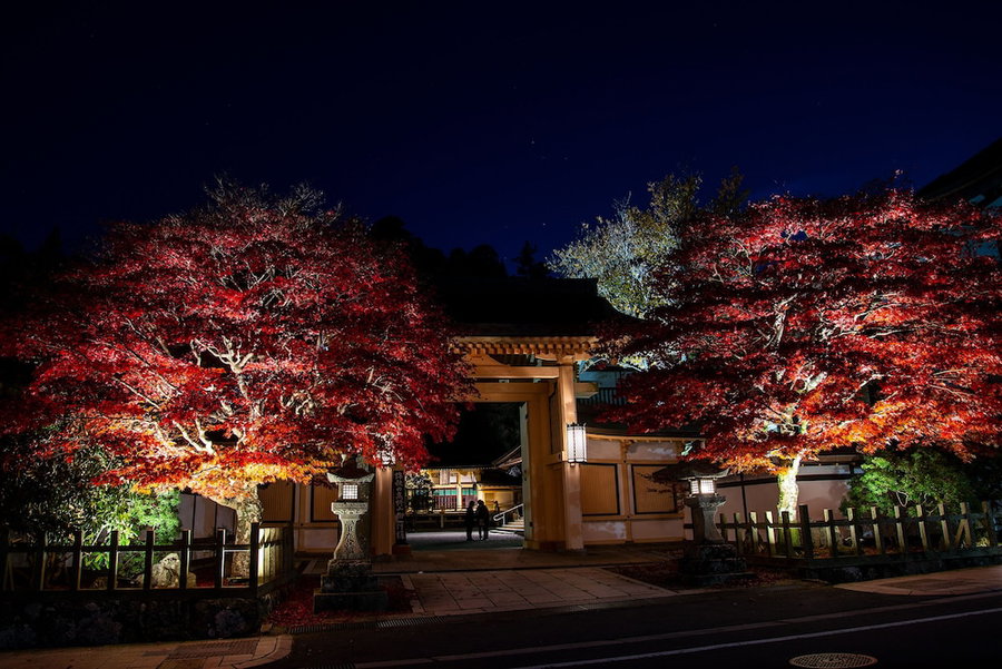 Koyasan Sainan-In, Hashimoto, Japan