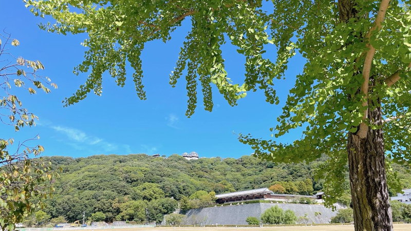 REF Matsuyama City Station by VESSEL HOTELS, Matsuyama, Japon