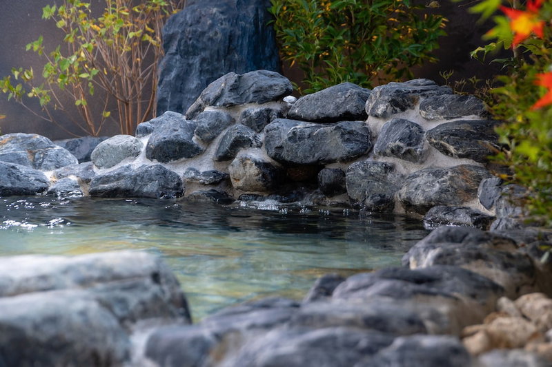 Grandvrio Hotel Nara Wakura, Tenri, Japon