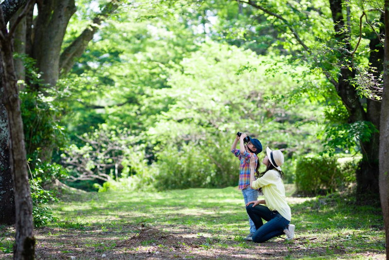 Grand Mercure Minamiboso Resort & Spa, Minamiboso, Japan