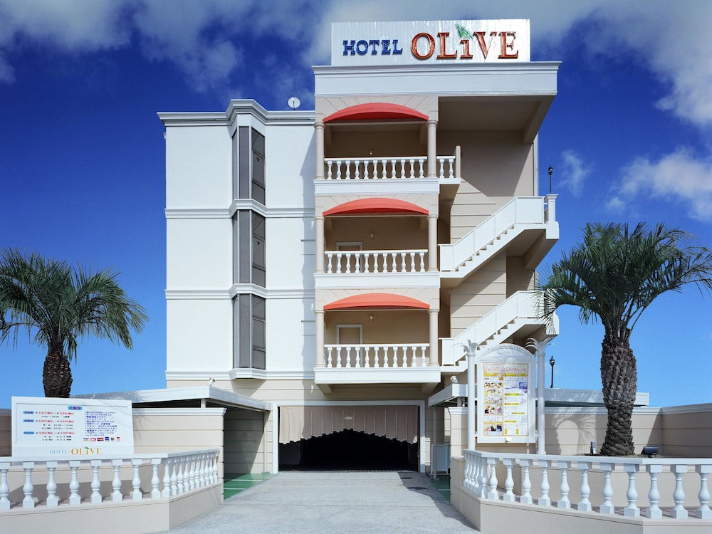 Hotel Olive Sakai, Japan