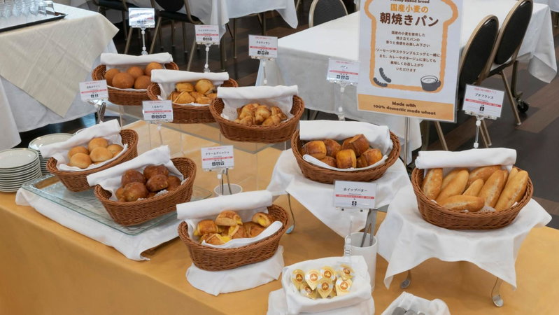 Asahikawa Toyo Hotel, Asahikawa, Japón