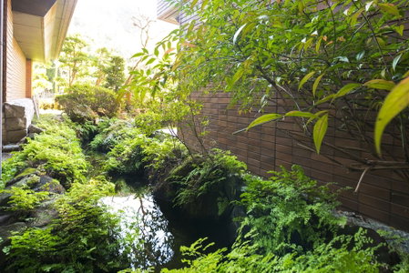 Yunosato Sugina, Yugawara, Japan