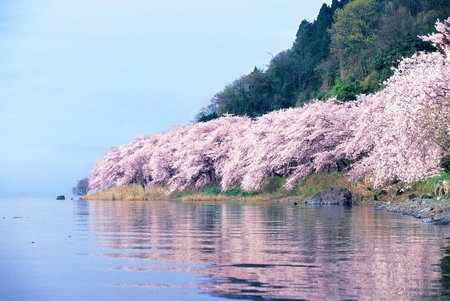 Grand Park Hotel Okubiwako Makino, Takashima, Japan