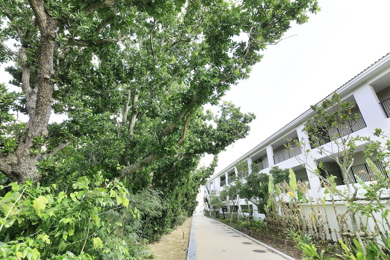 Vivoviva Ishigakijima, Ishigaki, Japan