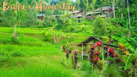 Buda's Homestay Lemukih, Buleleng, Indonesia