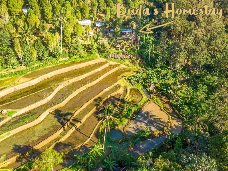 Buda's Homestay Lemukih, Buleleng, Indonesia