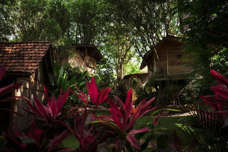 Roots Tree House - Boutique Hotel - Uluwatu, Uluwatu, Индонезия