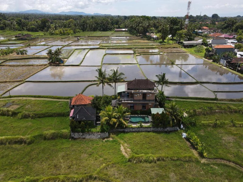 Mancur Guesthouse, Ubud, Indonesia