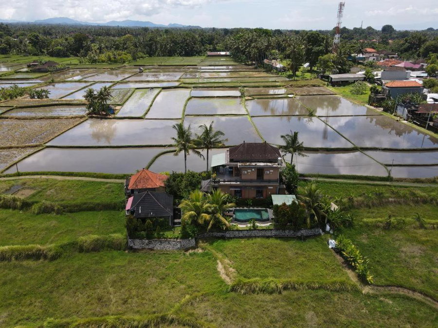 Mancur Guesthouse, Ubud, Indonesia