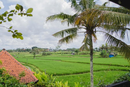 Mancur Guesthouse, Ubud, Indonesia