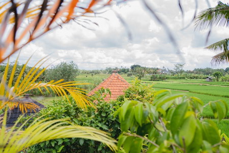 Mancur Guesthouse, Ubud, Indonesia