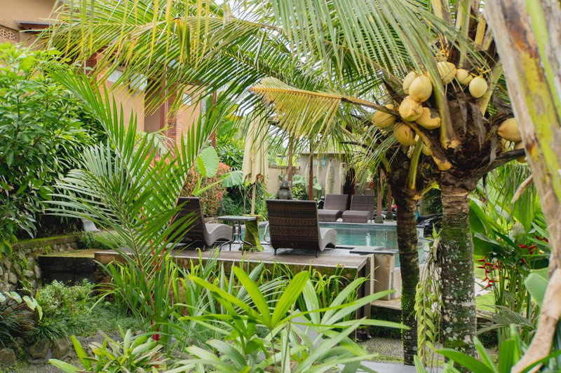 Mancur Guesthouse, Ubud, Indonesia