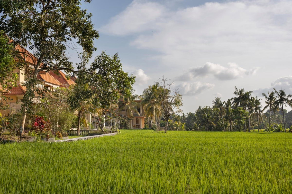Hotel · Green Field Hotel and Restaurant, Ubud