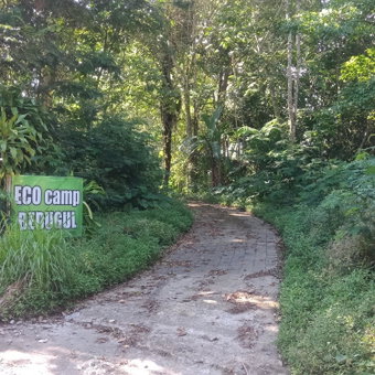 ECO Bedugul adventurer camp, Bedugul, Indonésie