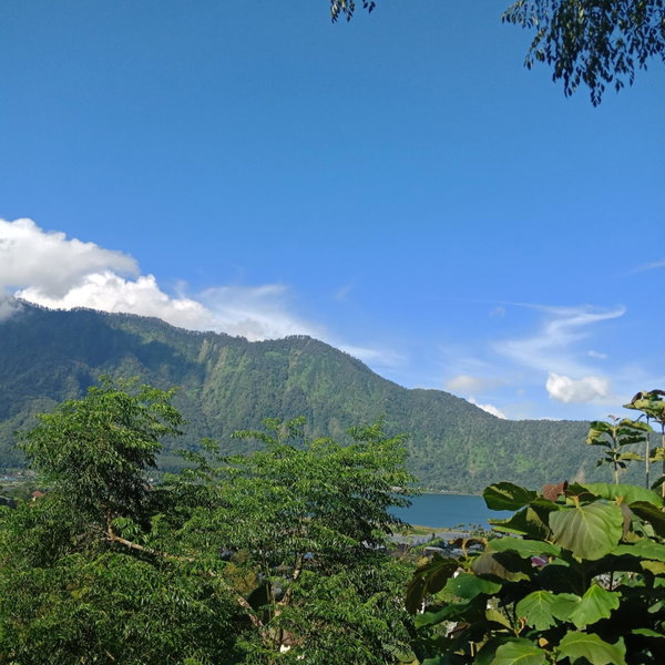 ECO Bedugul adventurer camp, Bedugul, Indonésie