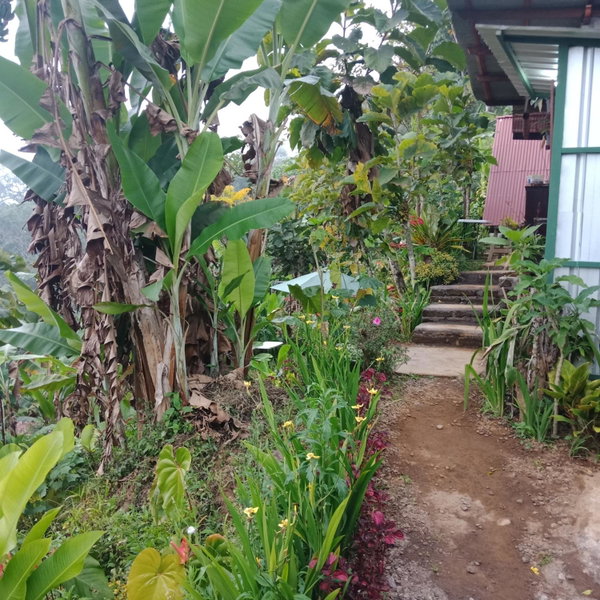 ECO Bedugul adventurer camp, Bedugul, Indonésie