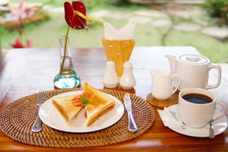 BatanTop Ubud guest house, Ubud, Indonesia