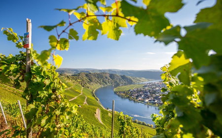 WohnGut Koblenz, Koblenz, Germany
