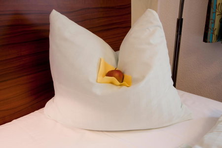 Hotel Burgwirt, Deggendorf, Germany