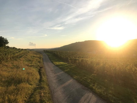 Gästehaus und Weingut Bernd Frieden, Nittel, Germany