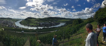 Gästehaus und Weingut Bernd Frieden, Nittel, Germany