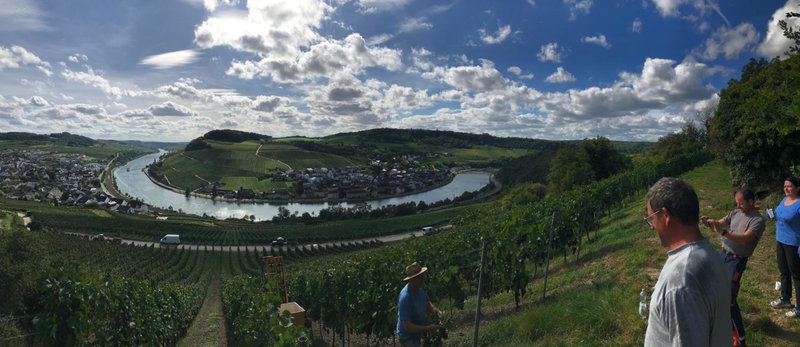 Gästehaus und Weingut Bernd Frieden, Nittel, Germany