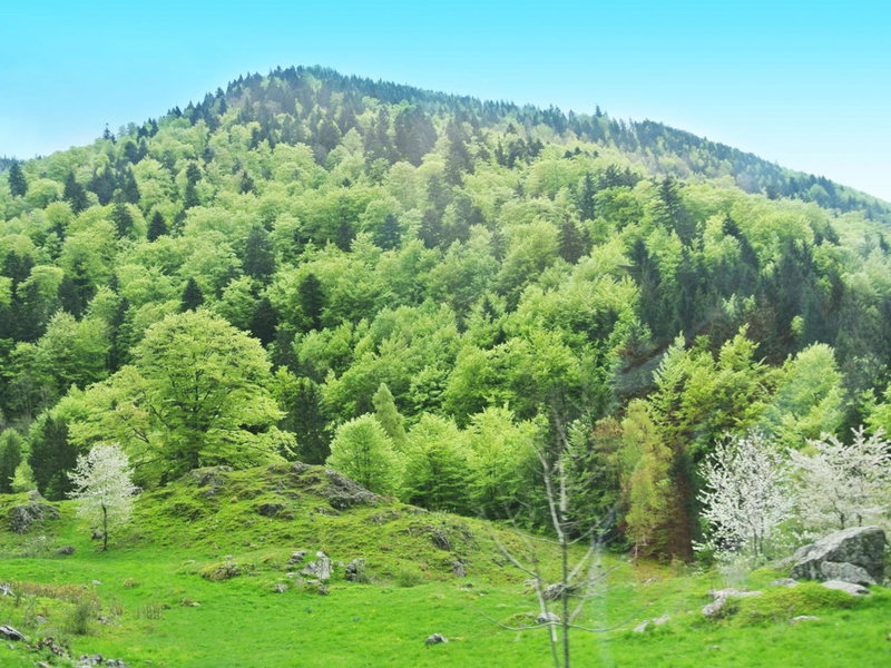 Hotel Großbach, Menzenschwand, Germany
