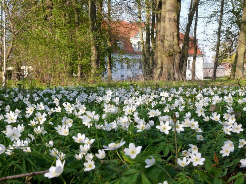 Jagdschloss Kotelow, Kotelow, Germany