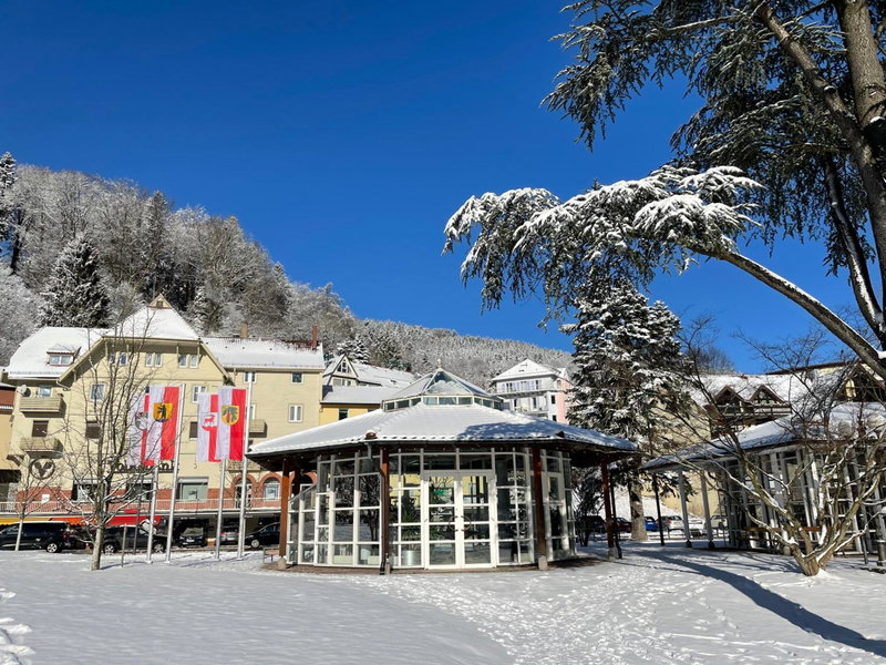 Hotel Kull von Schmidsfelden, Bad Herrenalb, Germany