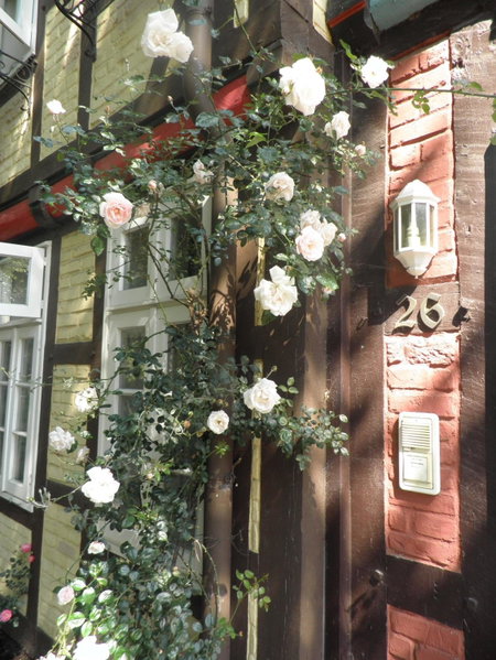 Hotel St. Georg Garni, Celle, Germany