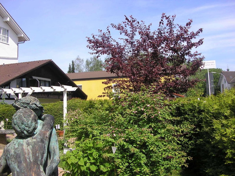 Arthotel ANA Panorama, Trademark Collection by Wyndham, Marktoberdorf, Germany