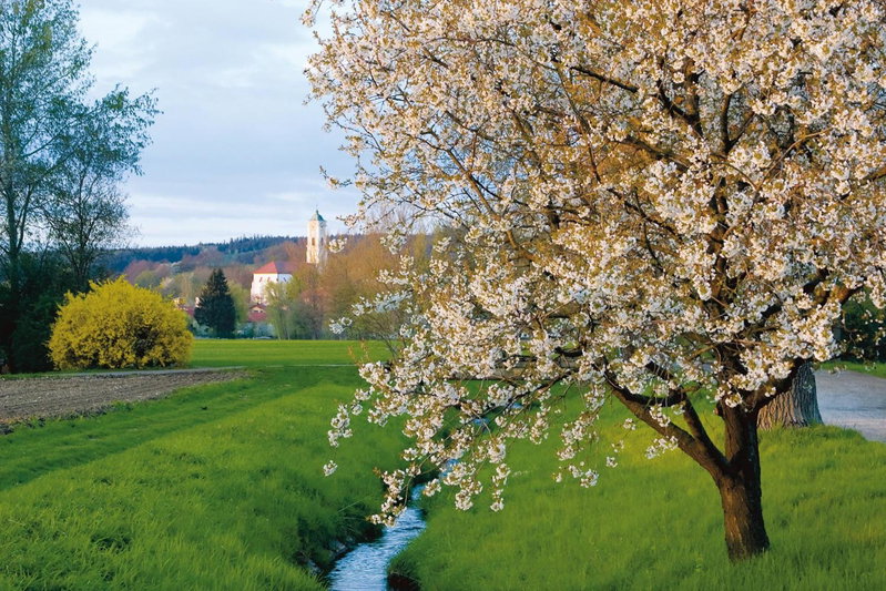 Best Western Aparthotel Birnbachhöhe, Bad Birnbach, Germany