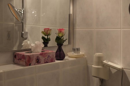 Hotel Brunnenhof International, Wedemark, Germany
