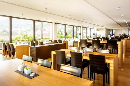 Midori - The Green Guesthouse, Heidelberg, Germany