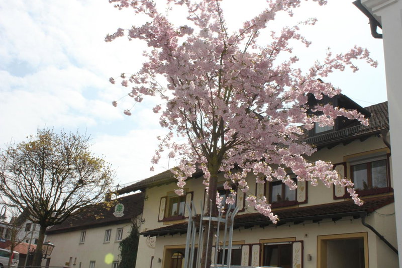 Gasthaus und Pension Zur Linde, Rot an der Rot, Germany