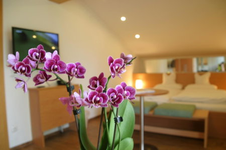 Hotel-Restaurant Bellevue, Ruhpolding, Germany