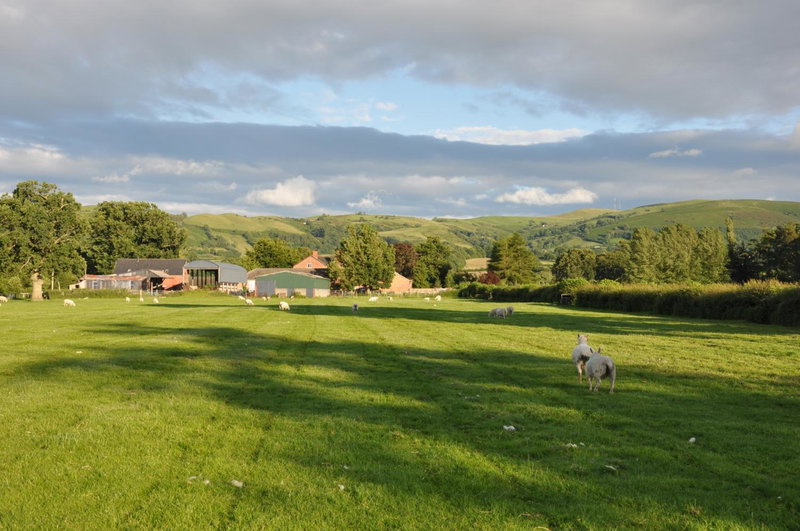 Mid Wales Arts B&B, Caersws, United Kingdom