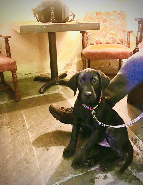 Royal Oak Hotel, Rosthwaite, United Kingdom