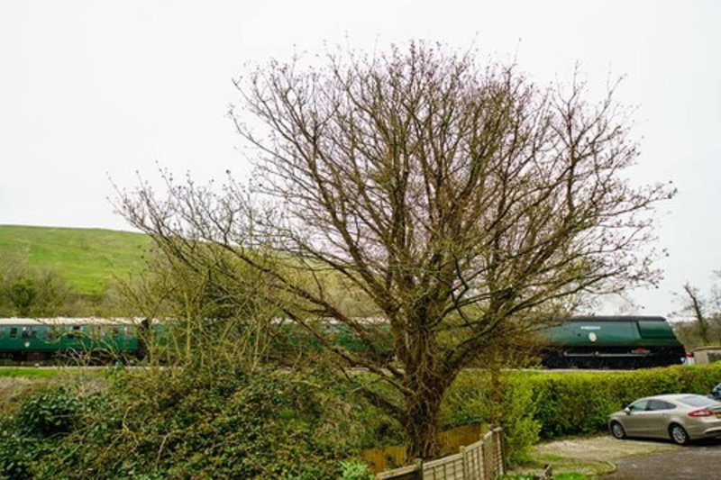 Bankes Arms Hotel, Poole, United Kingdom