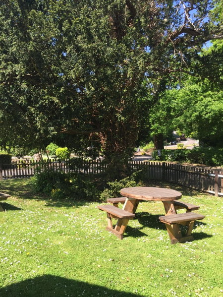 The White Swan, Arundel, United Kingdom