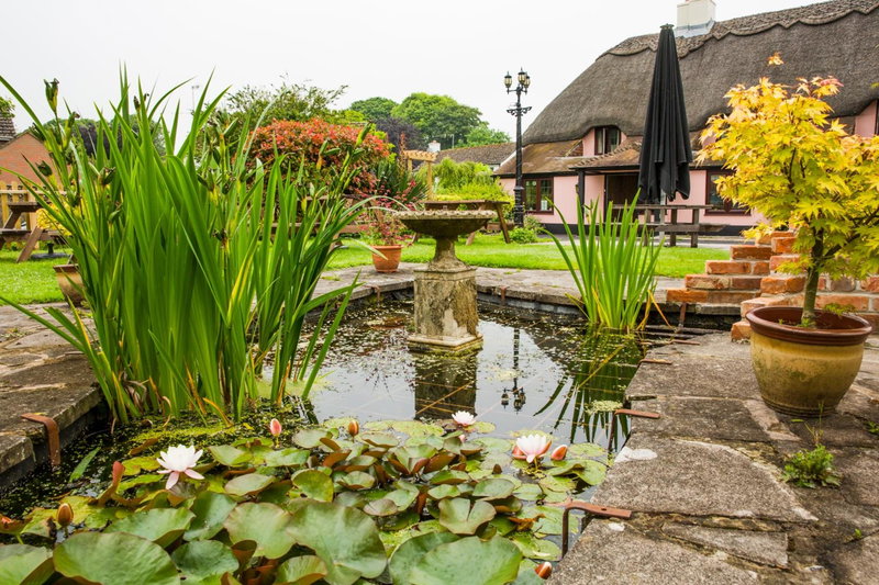 The Anvil, Blandford Forum, Reino Unido