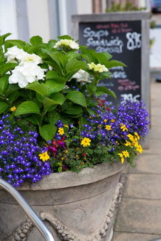 The Queens Head Hotel, Self Check-In, Berwick-Upon-Tweed, United Kingdom