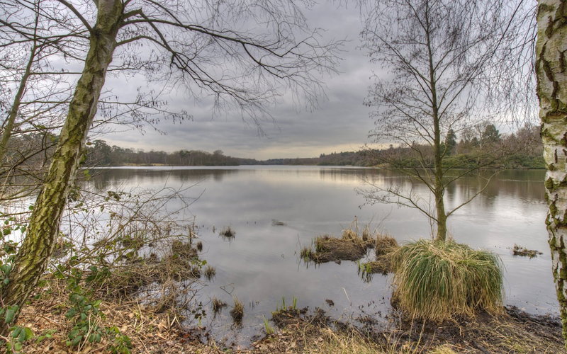 Wheatsheaf Hotel - Virginia Water by Chef and Brewer Collection, Egham, United Kingdom
