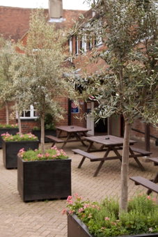 The Dog & Bear Hotel, Lenham, United Kingdom