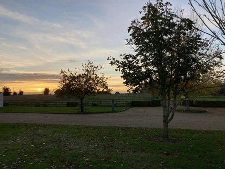 The Oaks, Luxury 2 bedroom cottage in a peaceful location, Haughley, United Kingdom